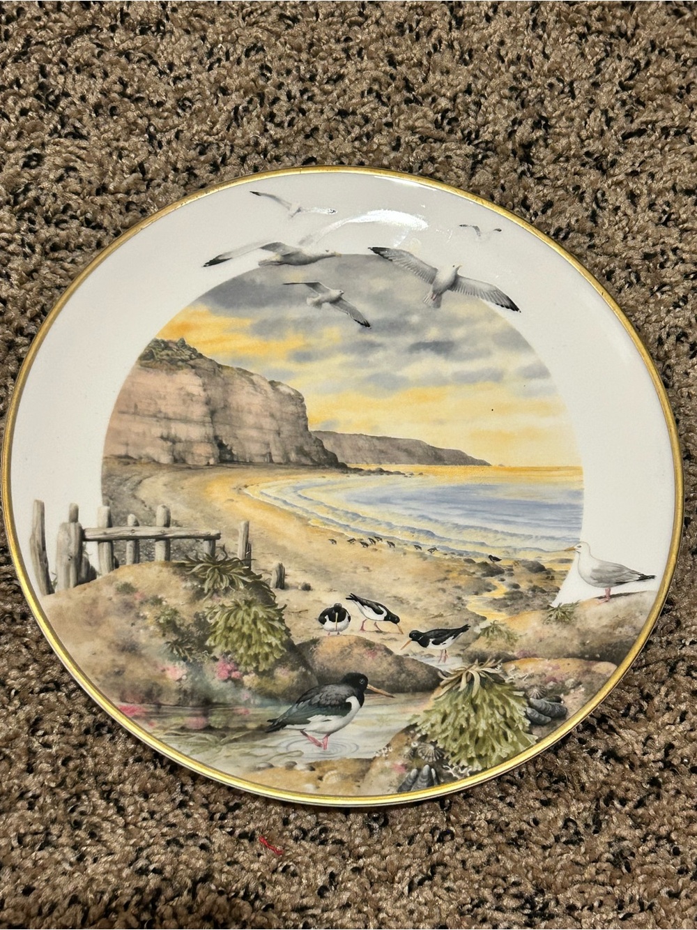 50%off w❤️ February on the Coast" collector plate from the 1979 Country Year